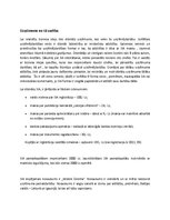 Biznesa plāns 'Biznesa plāns', 3.