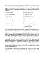 Biznesa plāns 'Biznesa plāns', 4.