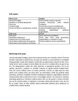 Biznesa plāns 'Biznesa plāns', 10.