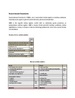 Biznesa plāns 'Biznesa plāns', 11.