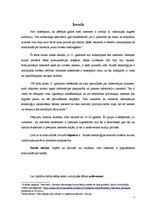 Referāts 'Internets kā populārākais komunikācijas kanāls mūsdienās', 3.