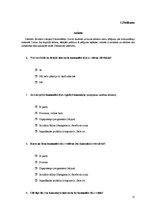 Referāts 'Internets kā populārākais komunikācijas kanāls mūsdienās', 17.