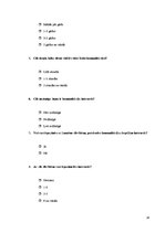 Referāts 'Internets kā populārākais komunikācijas kanāls mūsdienās', 18.