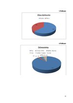 Referāts 'Internets kā populārākais komunikācijas kanāls mūsdienās', 21.
