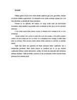 Referāts 'Biznesa ētikas principu istenošana organizācijā', 3.