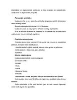 Referāts 'Biznesa ētikas principu istenošana organizācijā', 6.