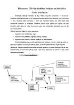 Eseja 'Biocenoze. Cilvēka darbības ietekme uz dzīvnieku skaita izmaiņām', 1.