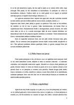 Referāts 'Flīžu grīdas', 4.