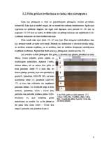 Referāts 'Flīžu grīdas', 9.