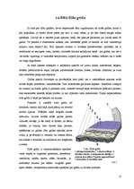 Referāts 'Flīžu grīdas', 13.