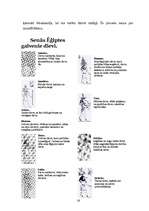 Referāts 'Seno ēģiptiešu reliģiskie priekšstati', 16.