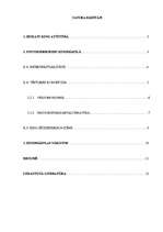 Referāts 'Mūsdienu priekšstati par vizualitāti kino', 1.