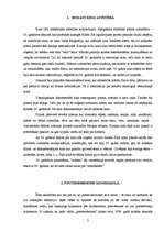 Referāts 'Mūsdienu priekšstati par vizualitāti kino', 2.