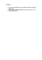 Referāts 'Autoceļu un tiltu uzturēšana ziemā', 17.