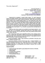 Referāts 'Lauku tūrisma mītņu salīdzinājums', 4.