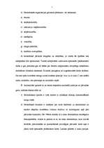 Referāts 'Maksa Vēbera birokrātijas analīze', 7.