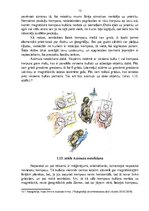 Referāts 'Kompass, tā uzbūve un izmantošanas iespējas', 13.