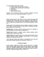 Konspekts 'Uzņēmuma stratēģijas izstrāde', 2.