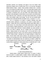 Referāts 'Alkoholisms - sociālā problēma Latgalē', 13.