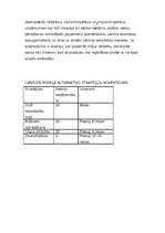 Biznesa plāns 'Guļbūvju ražošanas biznesa plāns', 24.