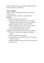 Biznesa plāns 'Guļbūvju ražošanas biznesa plāns', 26.