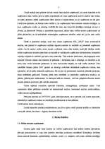 Diplomdarbs 'Uzņēmuma risku pārvaldība', 7.