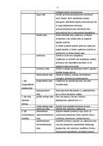 Diplomdarbs 'Uzņēmuma risku pārvaldība', 11.