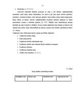 Diplomdarbs 'Uzņēmuma risku pārvaldība', 21.