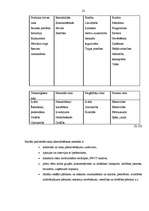 Diplomdarbs 'Uzņēmuma risku pārvaldība', 22.