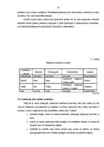 Diplomdarbs 'Uzņēmuma risku pārvaldība', 36.