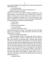 Diplomdarbs 'Uzņēmuma risku pārvaldība', 56.