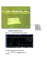 Paraugs 'Gaismas difrakcijas ainas novērošana spraugām un apertūrām', 4.