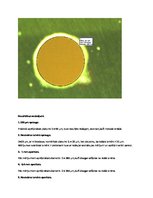 Paraugs 'Gaismas difrakcijas ainas novērošana spraugām un apertūrām', 7.