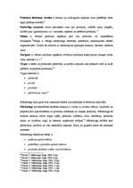 Konspekts 'Mārketings', 3.