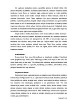 Referāts 'Uzņēmuma "Heinz" stratēģijas analīze', 2.