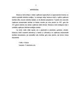 Referāts 'SIA "Galantus" attīstības stratēģija', 3.