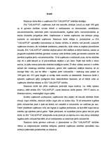 Referāts 'SIA "Galantus" attīstības stratēģija', 5.