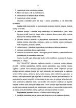 Referāts 'SIA "Galantus" attīstības stratēģija', 15.