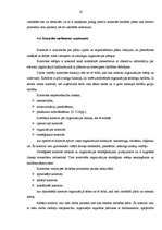 Referāts 'SIA "Galantus" attīstības stratēģija', 20.