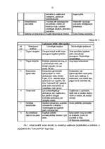 Referāts 'SIA "Galantus" attīstības stratēģija', 25.