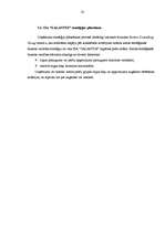 Referāts 'SIA "Galantus" attīstības stratēģija', 28.