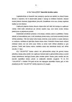 Referāts 'SIA "Galantus" attīstības stratēģija', 31.