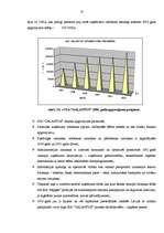 Referāts 'SIA "Galantus" attīstības stratēģija', 37.