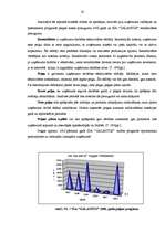 Referāts 'SIA "Galantus" attīstības stratēģija', 38.