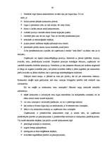 Referāts 'SIA "Galantus" attīstības stratēģija', 46.