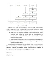 Diplomdarbs 'Mazumtirdzniecības uzņēmumu loma Latvijas tautsaimniecībā un to attīstības veici', 30.