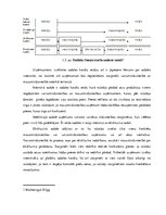 Diplomdarbs 'Mazumtirdzniecības uzņēmumu loma Latvijas tautsaimniecībā un to attīstības veici', 32.