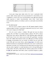 Diplomdarbs 'Mazumtirdzniecības uzņēmumu loma Latvijas tautsaimniecībā un to attīstības veici', 46.