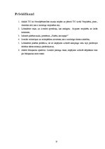 Referāts 'Tūrisma attīstības plāns Aizputes pagastam', 18.