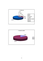 Referāts 'Skolēnu kaitīgie ieradumi', 11.